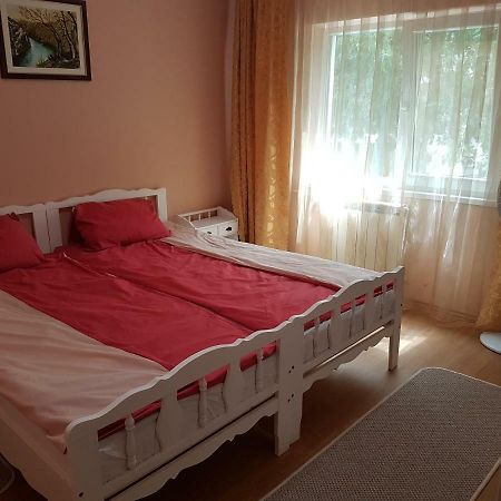 Appartement Apartament Aura à Oradea Extérieur photo